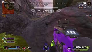 雑魚による　Apex Legends 配信