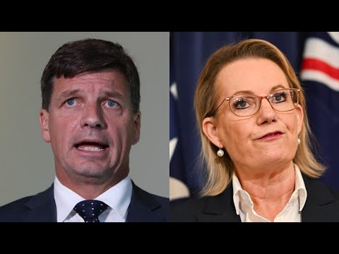 ‘Regime change’ was necessary: Liberal Party ‘reset’ required a leadership spill