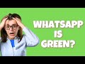 WhatsApp Update: Why is WhatsApp Green?