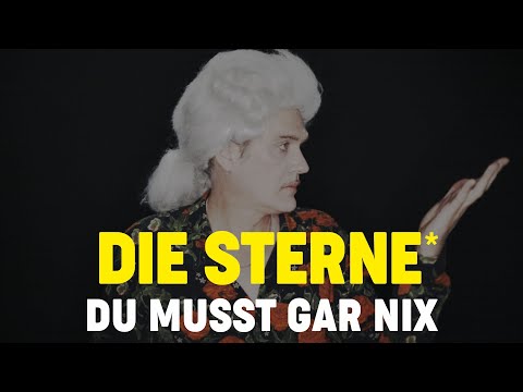 Die Sterne - Du musst gar nix (Offizielles Video)