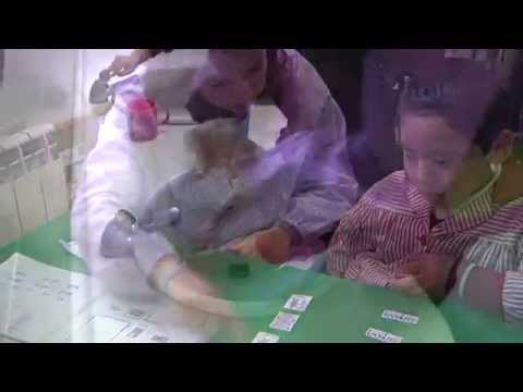 Video Institucional del Colegio Obispo Perelló de Madrid