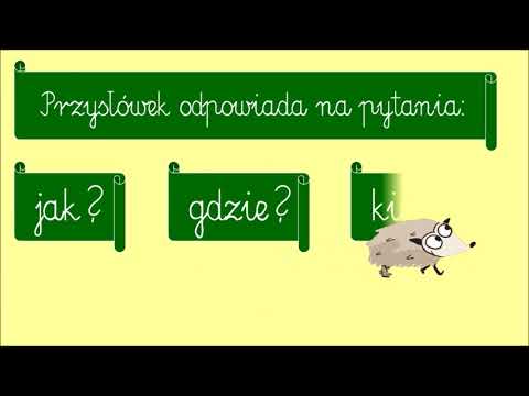 Język polski. Przysłówek z Jeżem Jerzym
