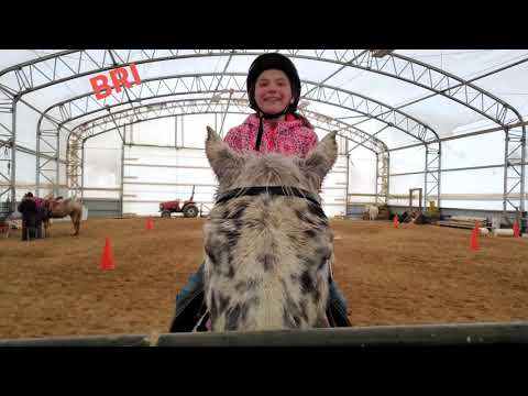 Bri working out her horses