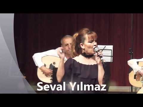 Seval Yılmaz   Arpa buğday daneler