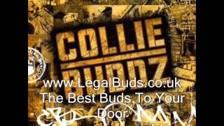 Collie Buddz - Wind Your Waist