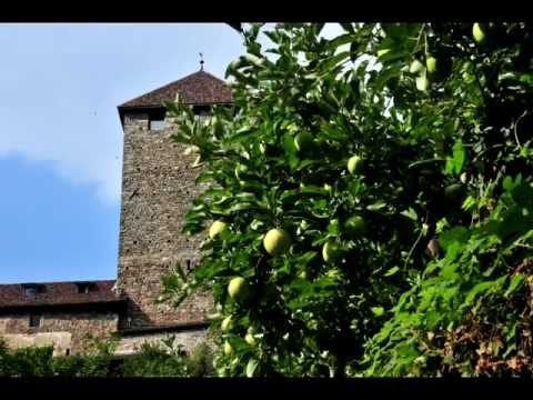 Schloss Tirol -- Von den Ursprüngen Tirols