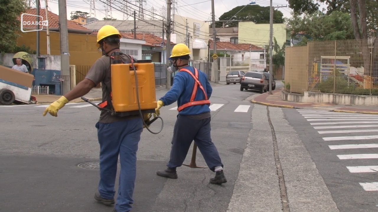 Procedimento de desinsetização em São Caetano; veja o que interfere na sua vida