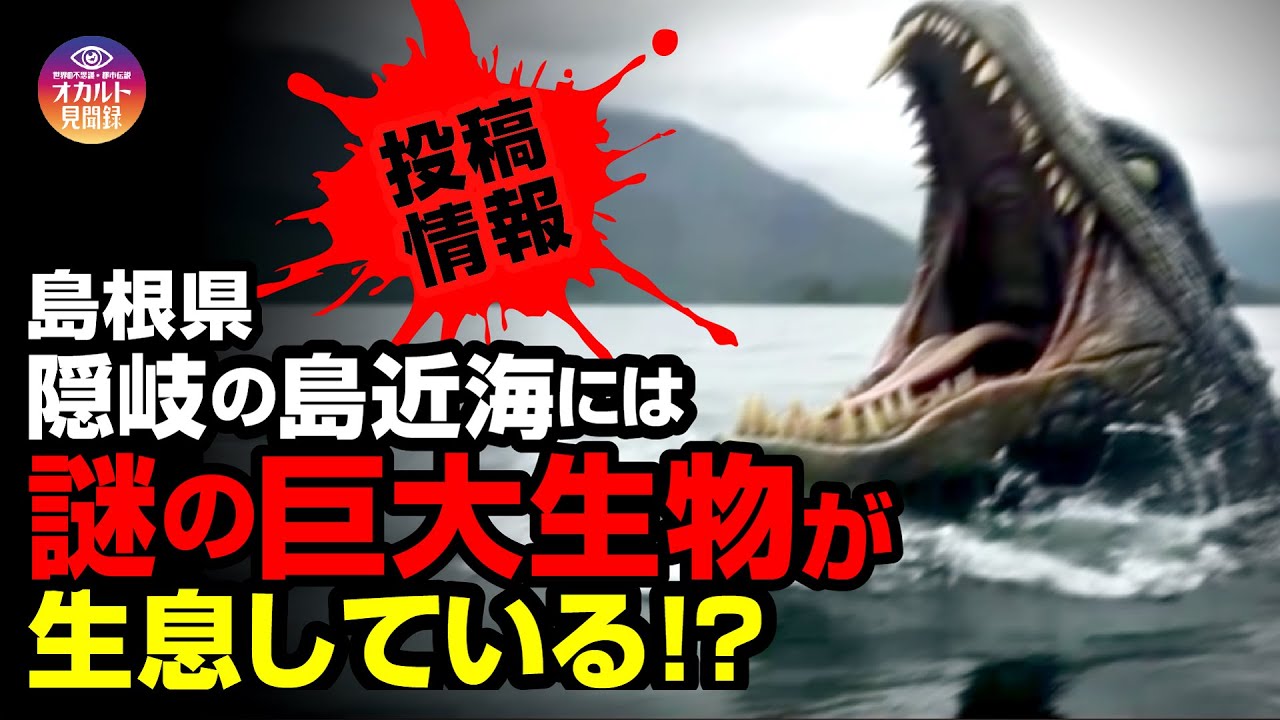 【UMA】投稿情報 隠岐の島近海には謎の巨大生物が生息している!?
