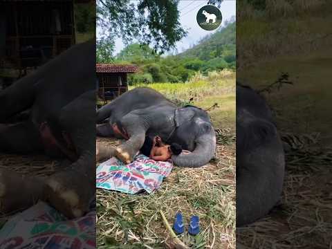 ඒ දෙන්නා බලන්න කෝ 