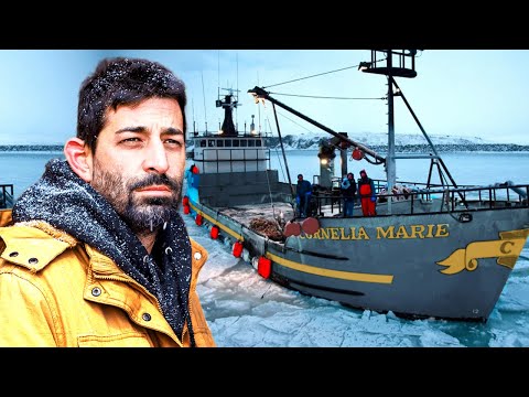 What Really Happened to Josh Harris From Deadliest Catch