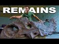 The Great Fossil Race: Uncovering Prehistoric Dinosaur Bones | Dino Hunters | Real Wild