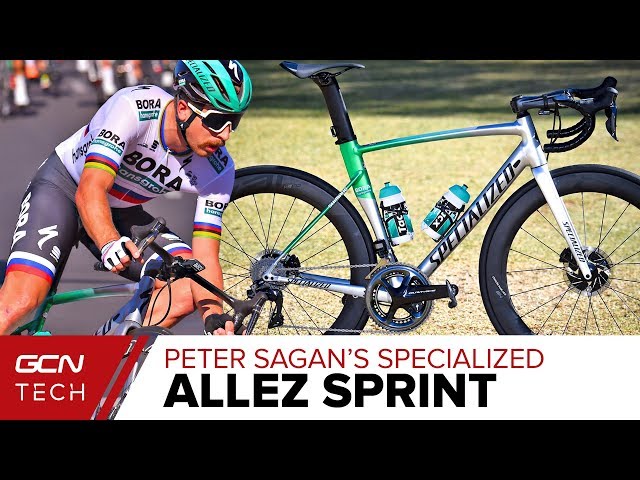 specialized allez sagan 2019