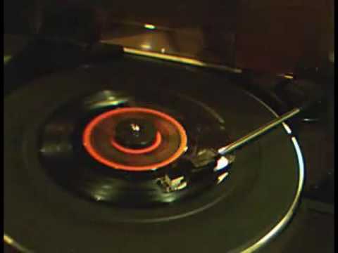 Banda do Casaco - Natação Obrigatória