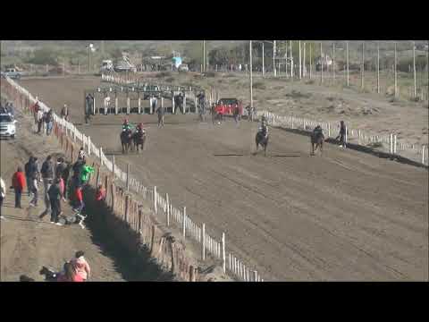 Club Hipico "Añelo"  15-05-2022   LOCO CARLOS