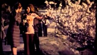 preview picture of video 'Figueira de Castelo Rodrigo - 1973'