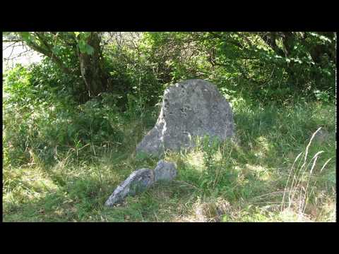 Bohuslän-Dalsland 2013 (26): Dragsmark - Oxevik