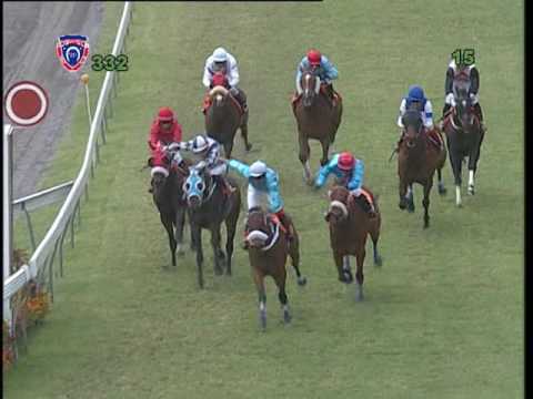 RACE MEETING 33 - 2015