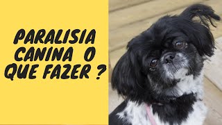 PARALISIA CANINA