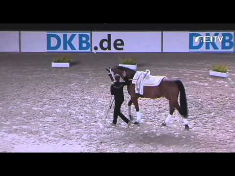 FEI World Cup Vaulting 2012/13 Munich - Male top 3