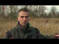 Ecokar rijdt weer door Oostvaardersplassen
