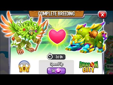 Dragon City: Root Dragon vs Green Meadows Dragon [EXCLUSIVE BREEDING] 😱