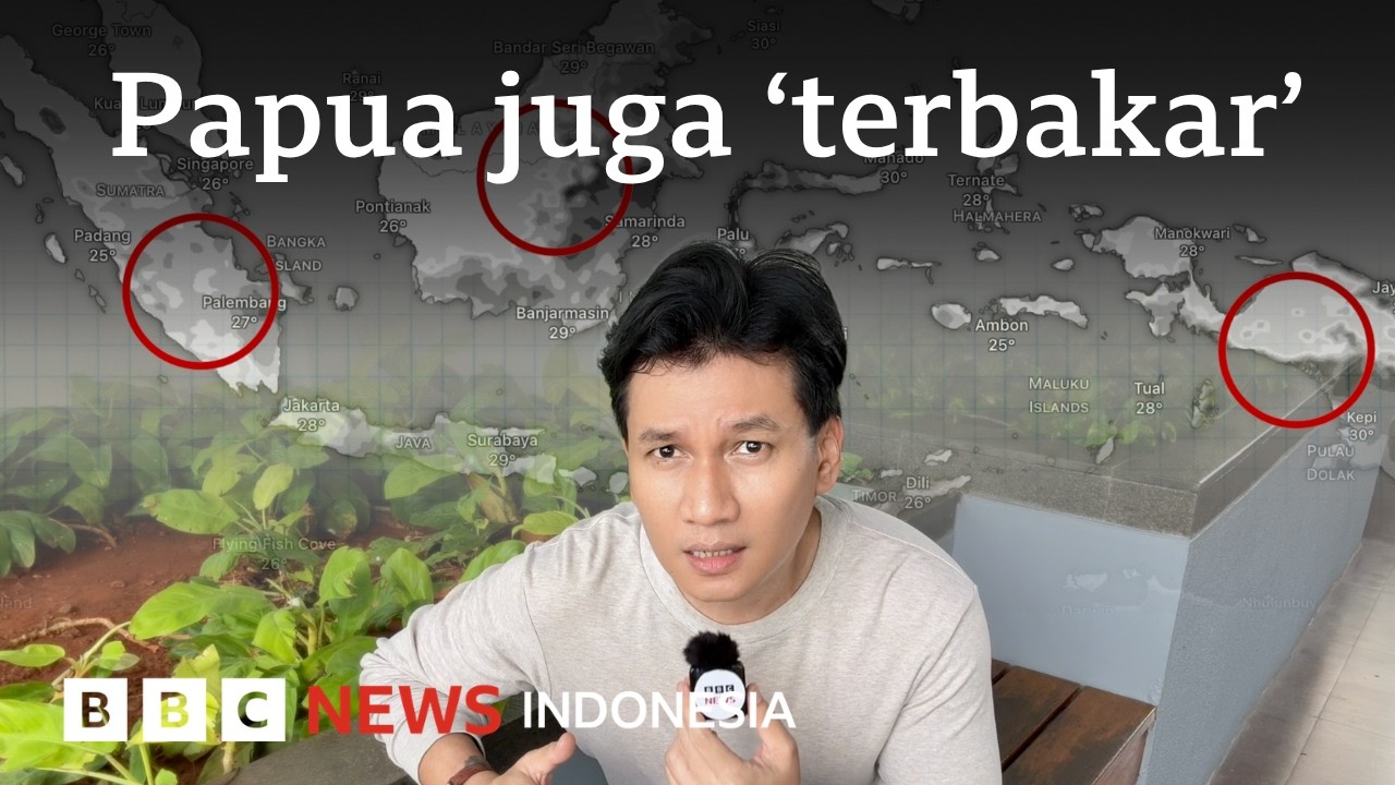 Kebakaran hutan dan laham melanda Papua di sejumlah lokasi PSN