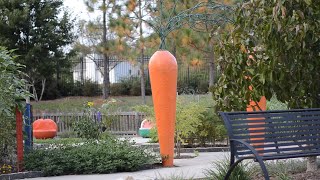 Download lagu Emotional Love Theme |  Peaceful Short Music, Relaxing Music mp3