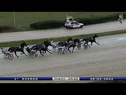 Aversa trotto 26 Febbraio 2022 - 1° Corsa