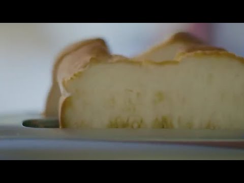 Always with Our Lives