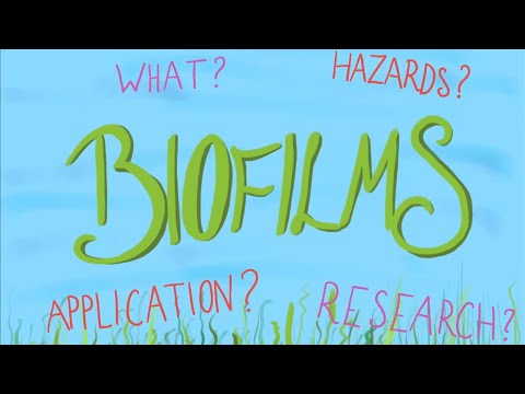 What is a Biofilm?