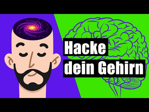 Verändere dein Gehirn: So wirst du 300 % produktiver (revolutionäre Hirnforschung)