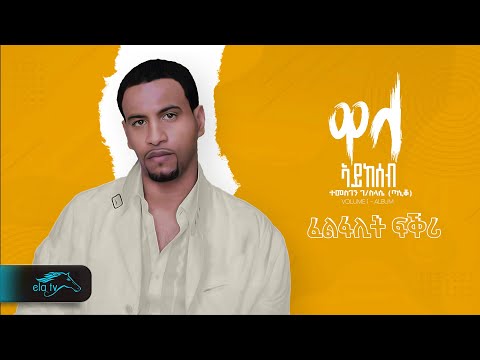 Temesgen Gebreselassie  - Taniqo - Felfalit Fikri - ፈልፋሊት ፍቅሪ - Eritrean Music - ( Official Audio )