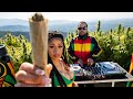 Ganja Roots Reggae Meditation Mix Deep Roots Sacred Smoke Peaceful Vibes