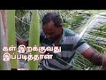 கள் இறக்கும் நேரடிக்காட்சிகள் How To Produce T