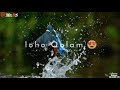 Ki Muhammad Se Wafa Muhammad Nabina New Naat Whatsapp Status 2021