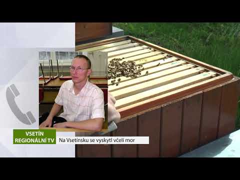 VALAŠSKO: Na Vsetínsku se vyskytl včelí mor