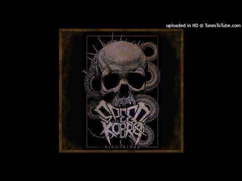 SpeedKobra, Nightrider, Metal, Punk