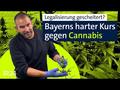 Cannabis-Clubs in Bayern: Ein Chemiker kämpft gegen den Freistaat | BR24 vor Ort