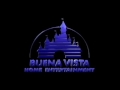 Buena Vista Home Entertainment 2000 Logo