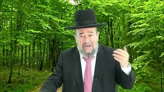 לא להפלות בין הבנים – וישב – הרב דוד הכהן הרב הראשי גן יבנה