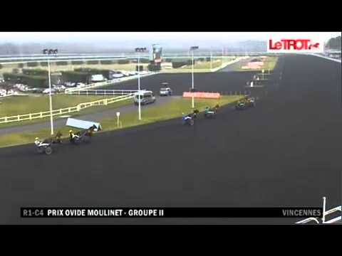 1602 Aladin d'Ecajeul