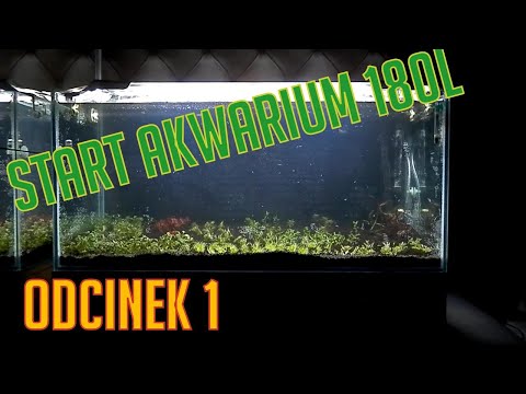 Start akwarium 180l, pierwsze problemy odc. 1