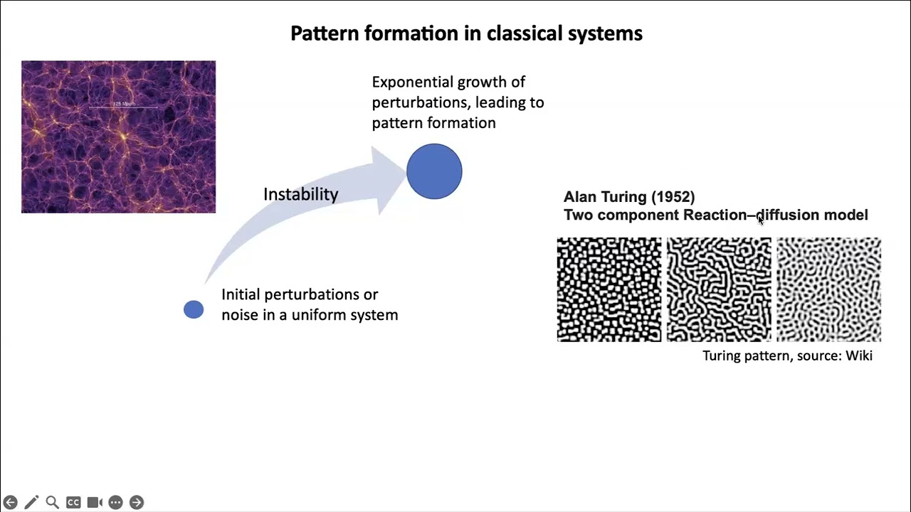 Chen Lung Hung -- Self-patterning in a dilute gas of 10,000 atoms