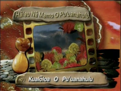 2005 Merrie Monarch Kahiko - Hālau Nā Mamo O Pu'uanahulu (Wahine) #Hawaiian #Hawaii