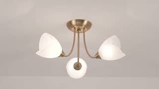 1_Watch A Video About the Possini Euro Nessa Warm Brass Tulips 3 Light Ceiling Light