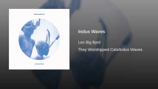 Indus Waves