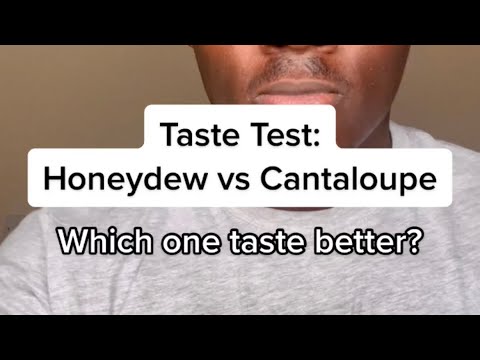 The Great Melon Debate: Honeydew vs. Cantaloupe Taste Test