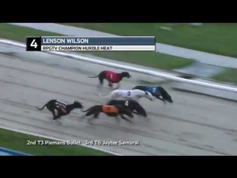 2019 RPGTV CHAMPION HURDLE - HEAT 4 - T4 LENSON WILSON