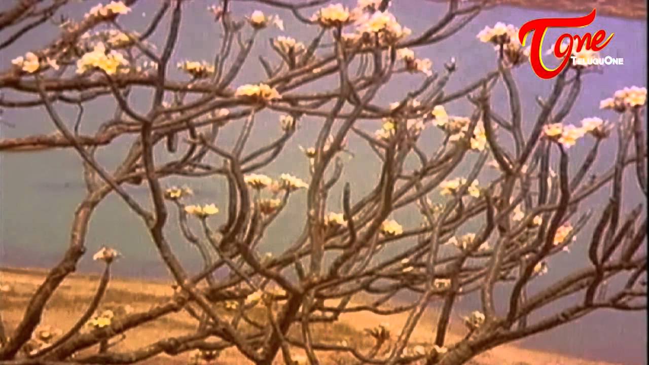 Na Gonthu Sruthilona Lyrics  | Janaki Ramudu | Nagarjuna, Vijayashanthi | K Raghavendra Rao