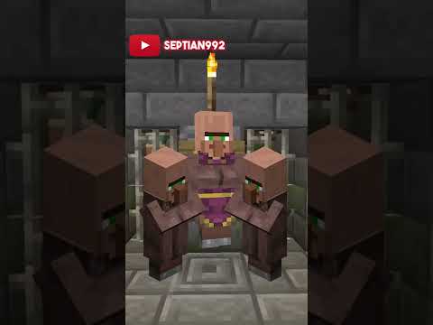 Uncover the Dark Secret of the Minecraft Witch! #shorts